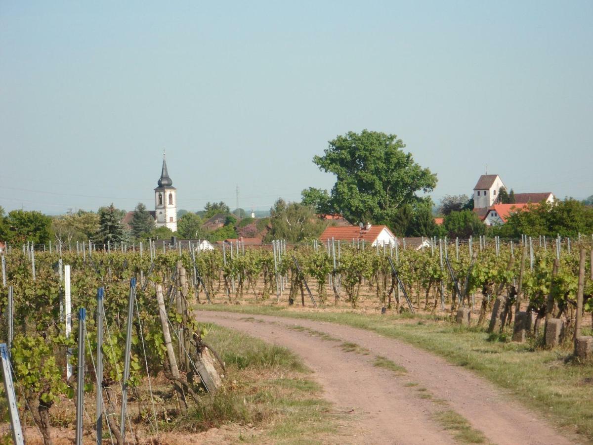 Ferienwohnung Suedpfalz Weingarten  Zewnętrze zdjęcie